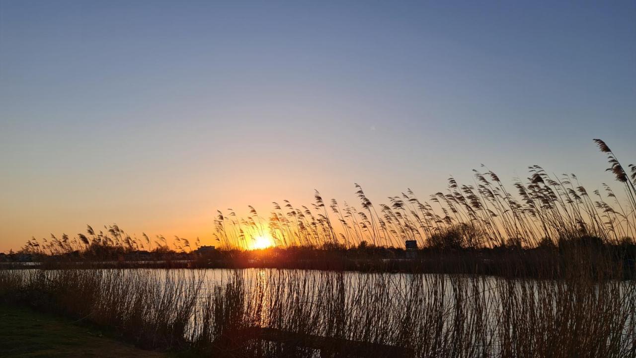Verborgen Parel Aan De Rotte Rotterdam Bagian luar foto